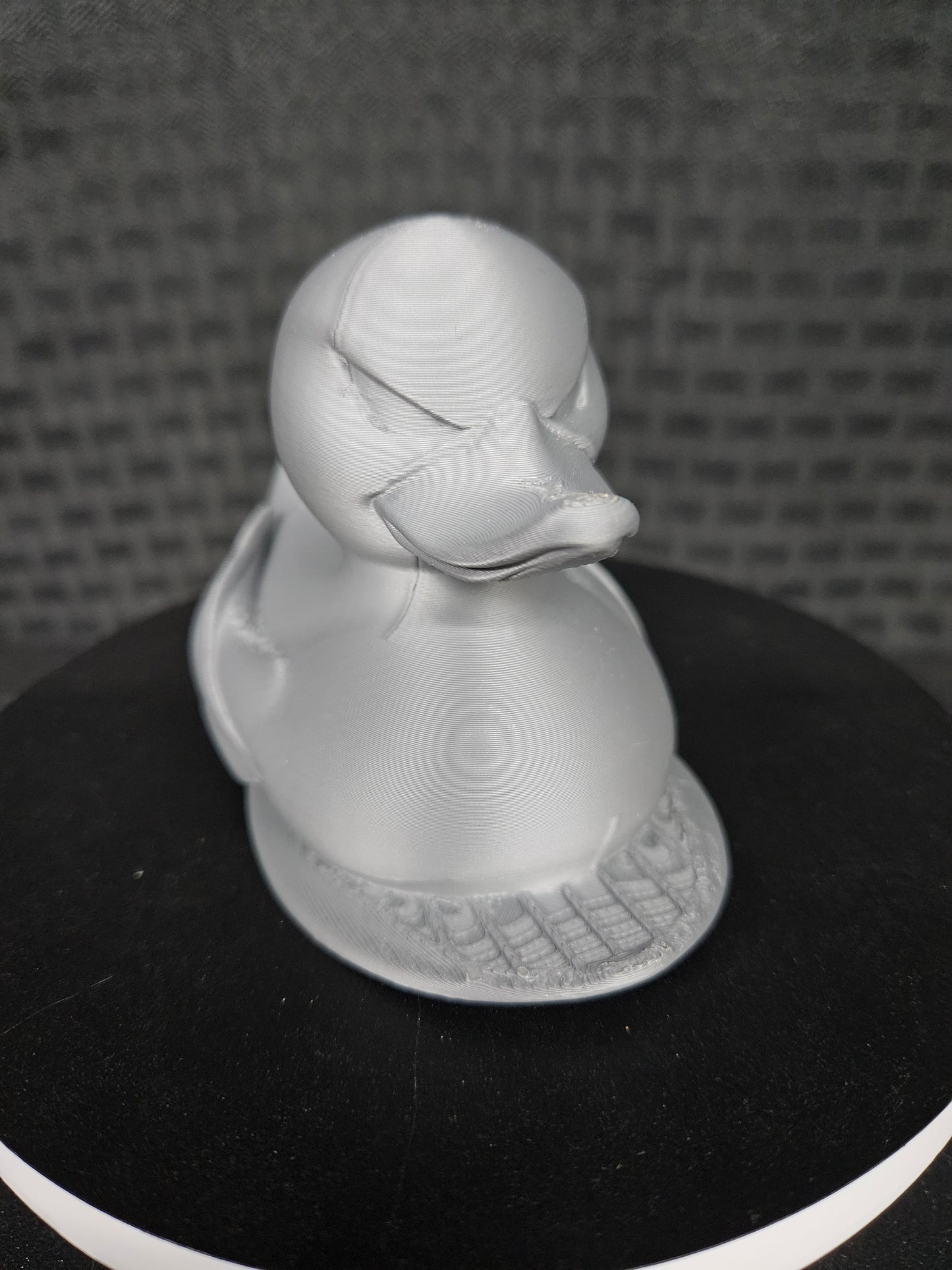 Silver Surfer Duck, Ducking, DuckDuckJeep