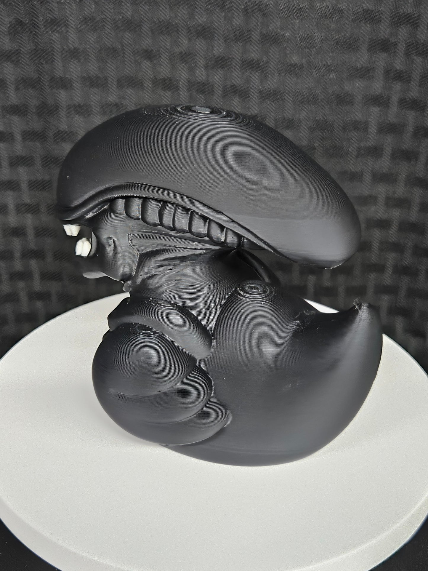 Xenomorph Duck, Ducking, DuckDuckJeep