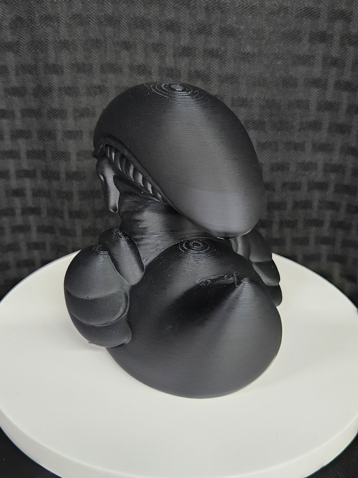 Xenomorph Duck, Ducking, DuckDuckJeep