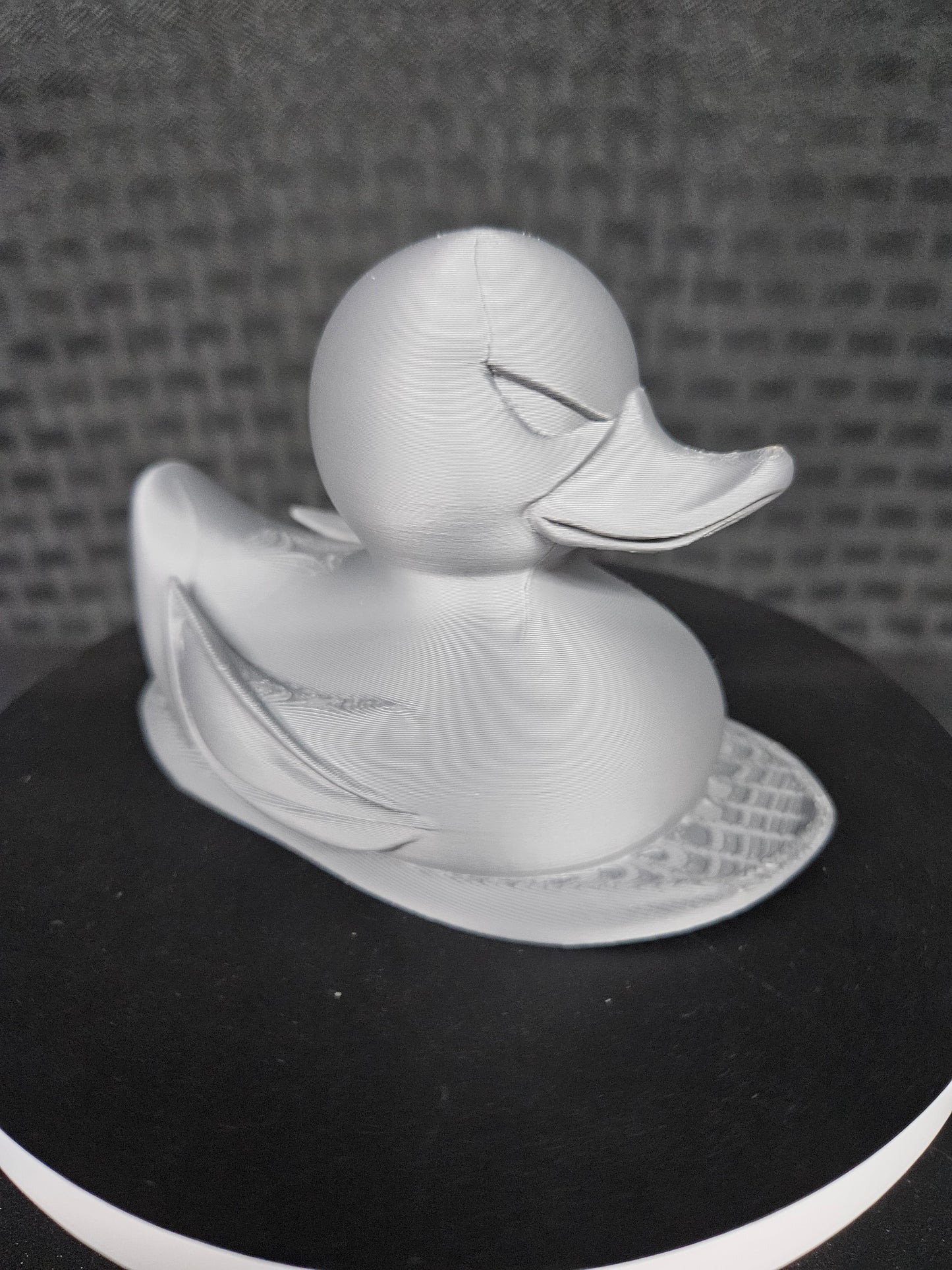 Silver Surfer Duck, Ducking, DuckDuckJeep