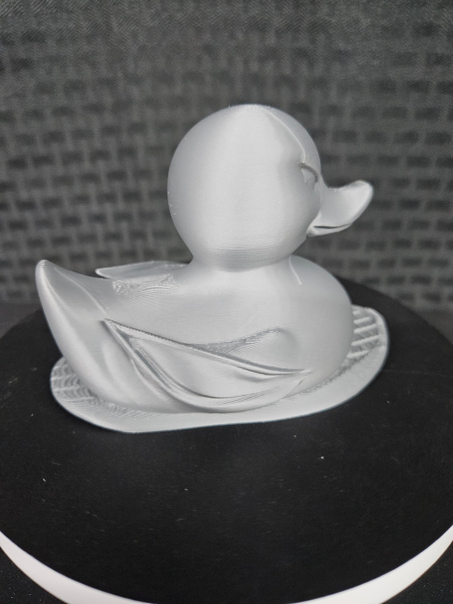 Silver Surfer Duck, Ducking, DuckDuckJeep