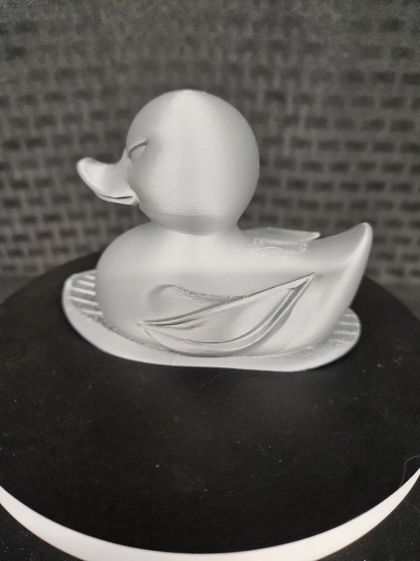 Silver Surfer Duck, Ducking, DuckDuckJeep