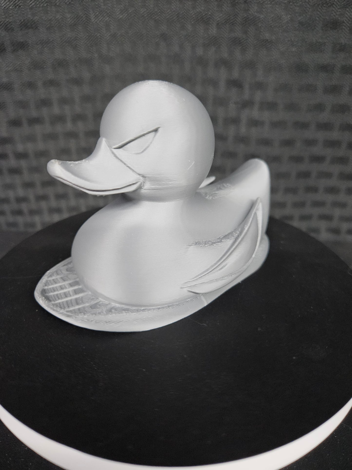 Silver Surfer Duck, Ducking, DuckDuckJeep