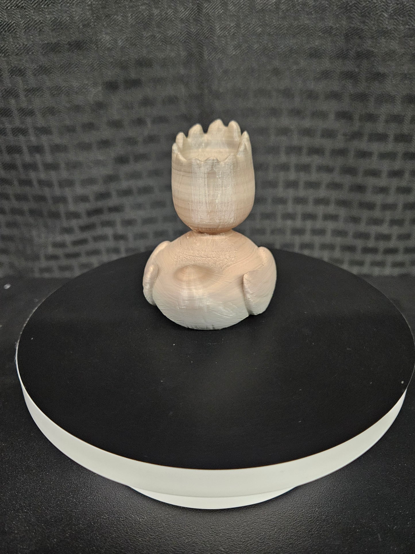 Groot Duck, Ducking, DuckDuckJeep