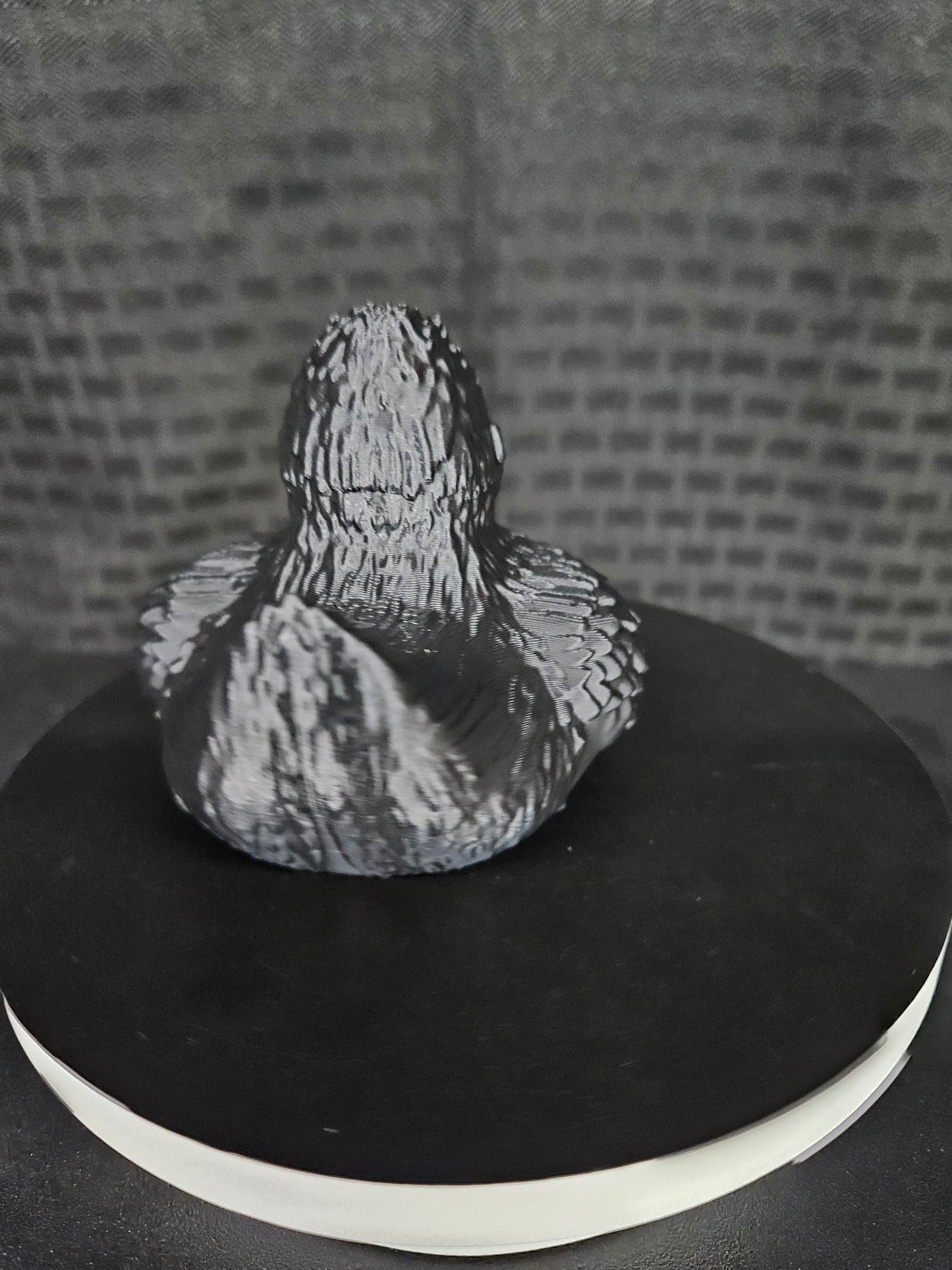 King Kong Duck, Ducking, DuckDuckJeep