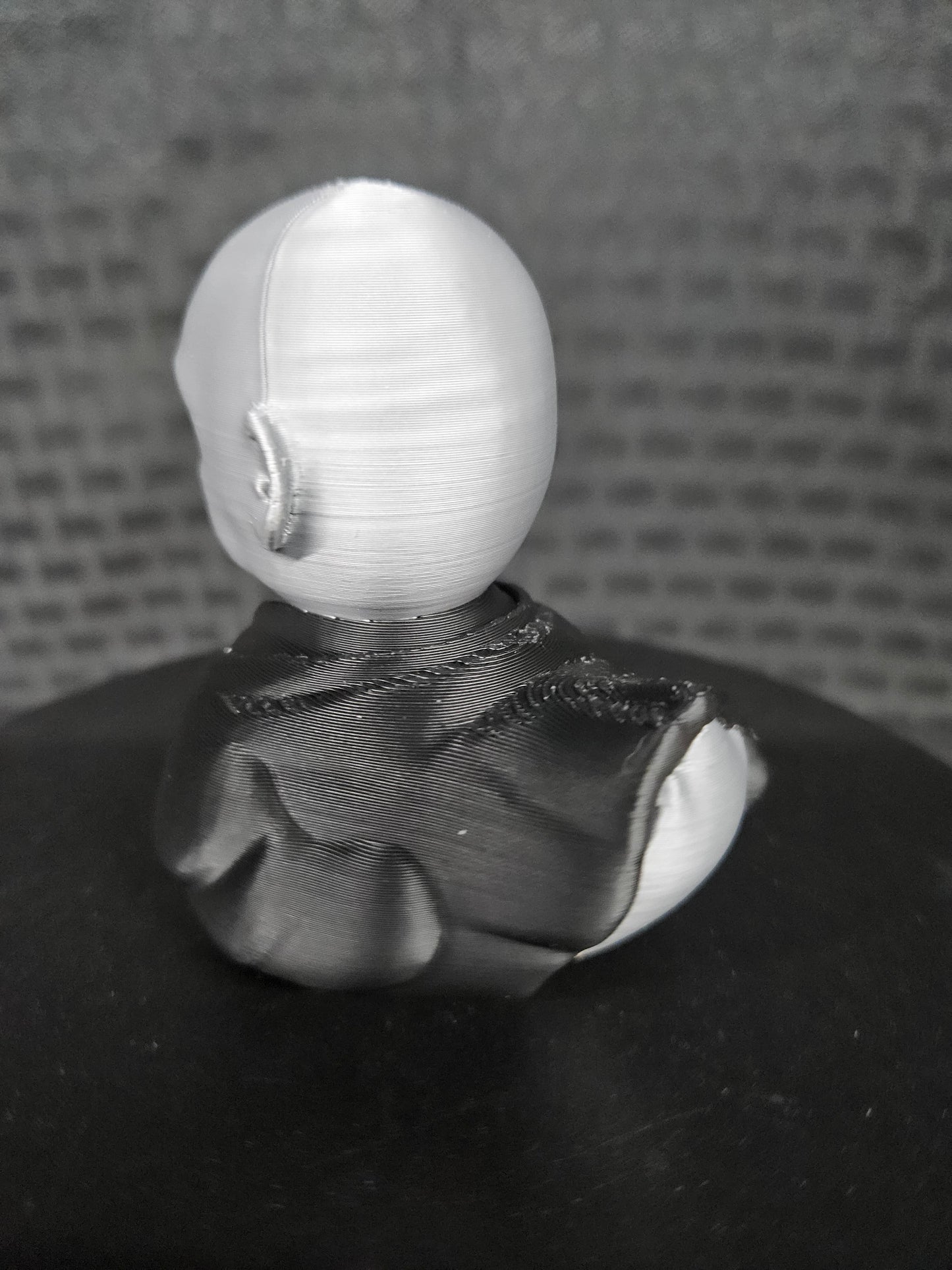 Voldemort Duck, Harry Potter, Ducking, DuckDuckJeep