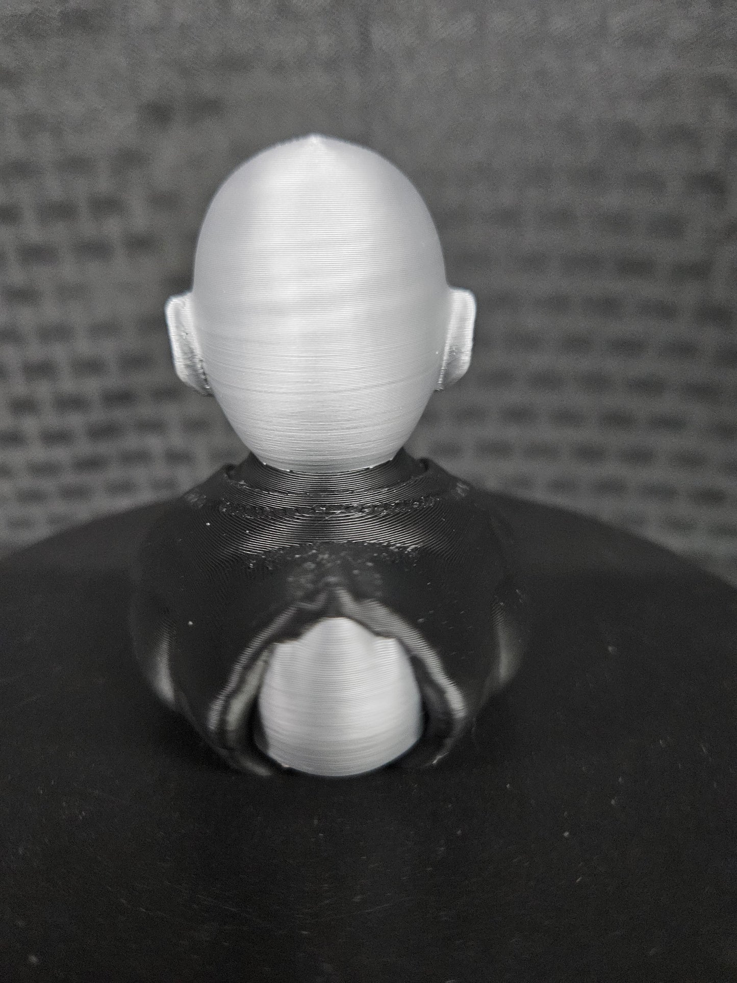 Voldemort Duck, Harry Potter, Ducking, DuckDuckJeep