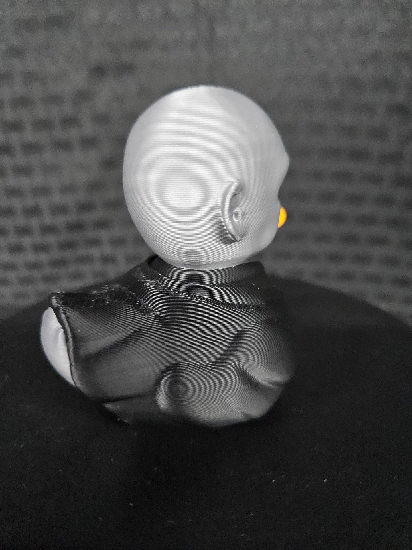 Voldemort Duck, Harry Potter, Ducking, DuckDuckJeep