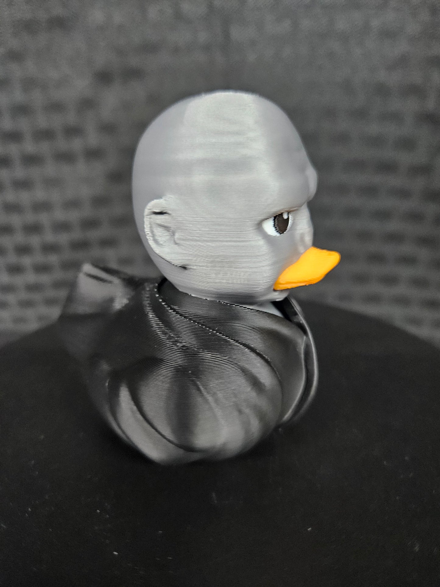 Voldemort Duck, Harry Potter, Ducking, DuckDuckJeep