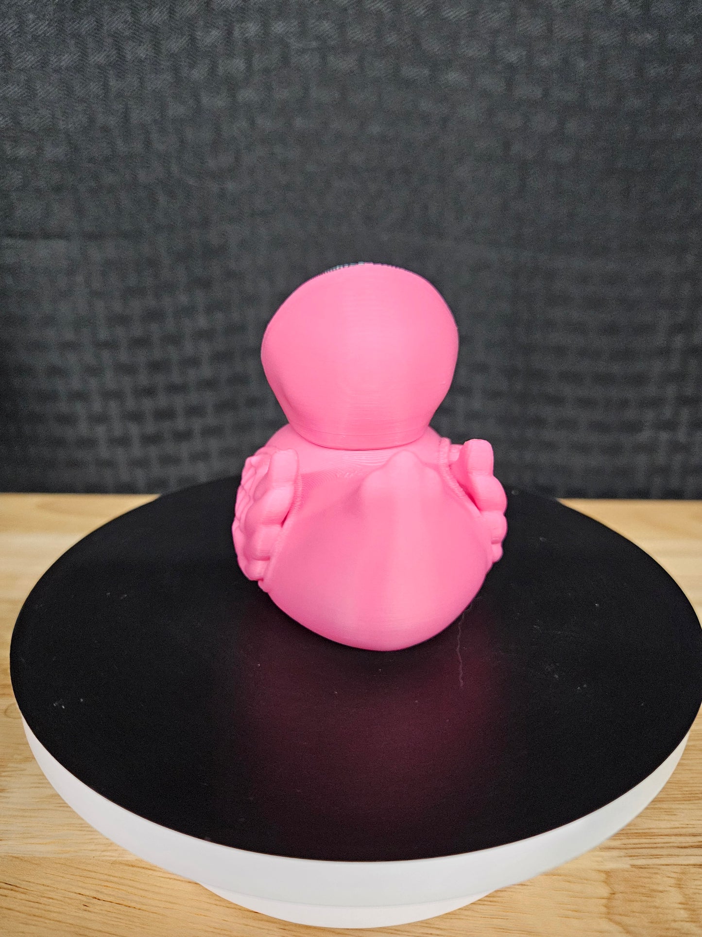 Player Guard Circle Duck, Squid Game, 3D Printed, Ducking, DuckDuckJeep
