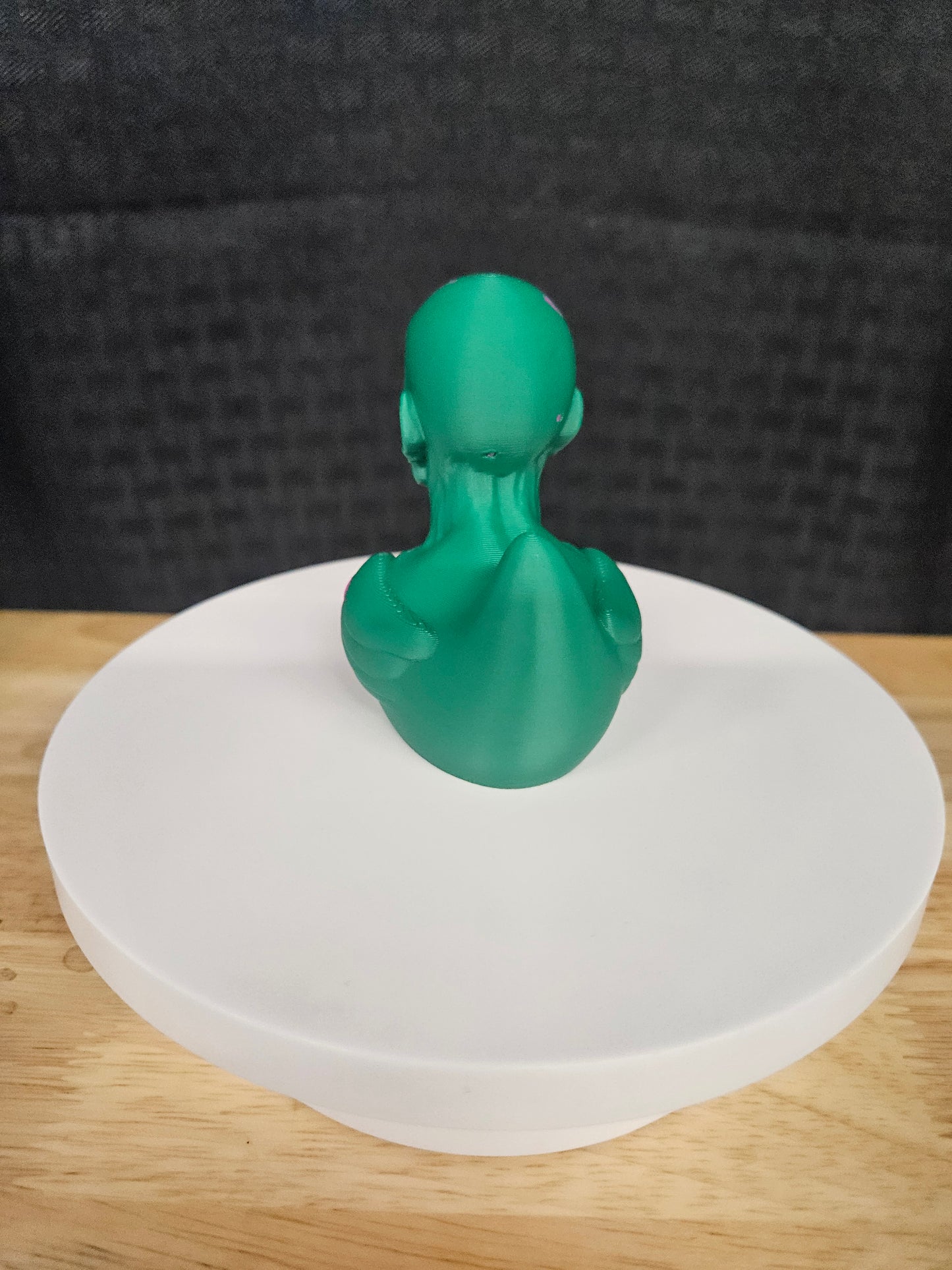 Zombie Duck