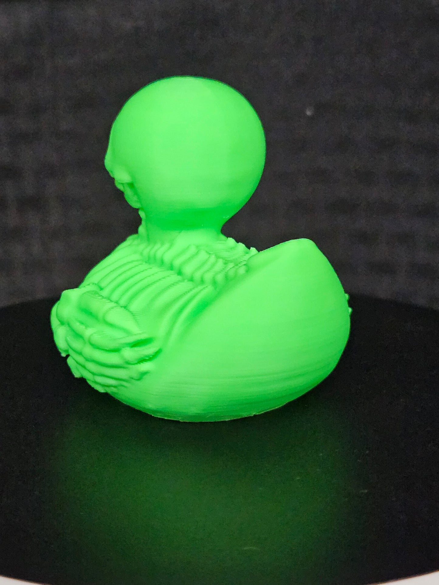 Skeleton Duck, White glows blue in the dark Sold Separately, 3D Printed