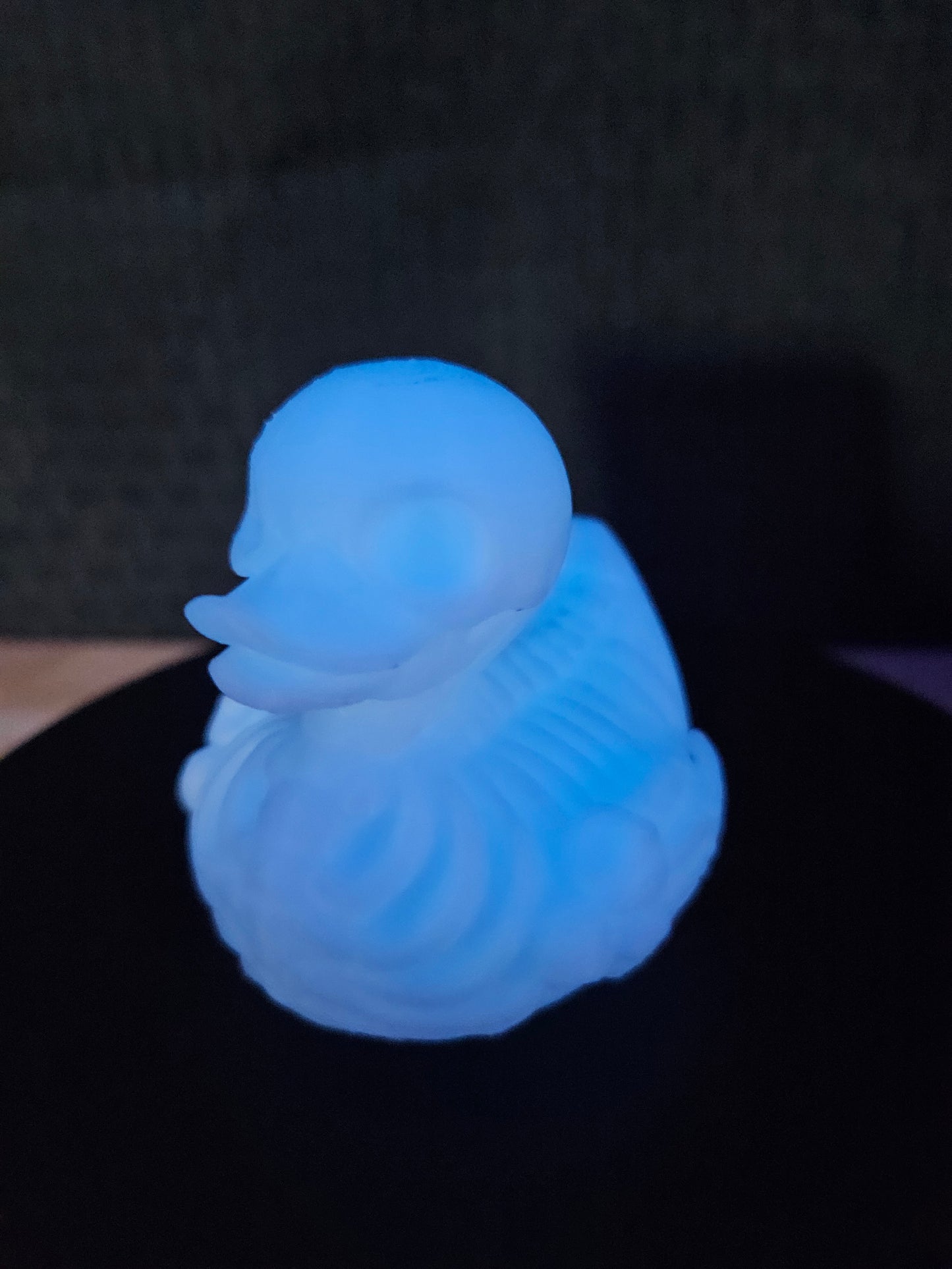 Skeleton Duck, White glows blue in the dark Sold Separately, 3D Printed
