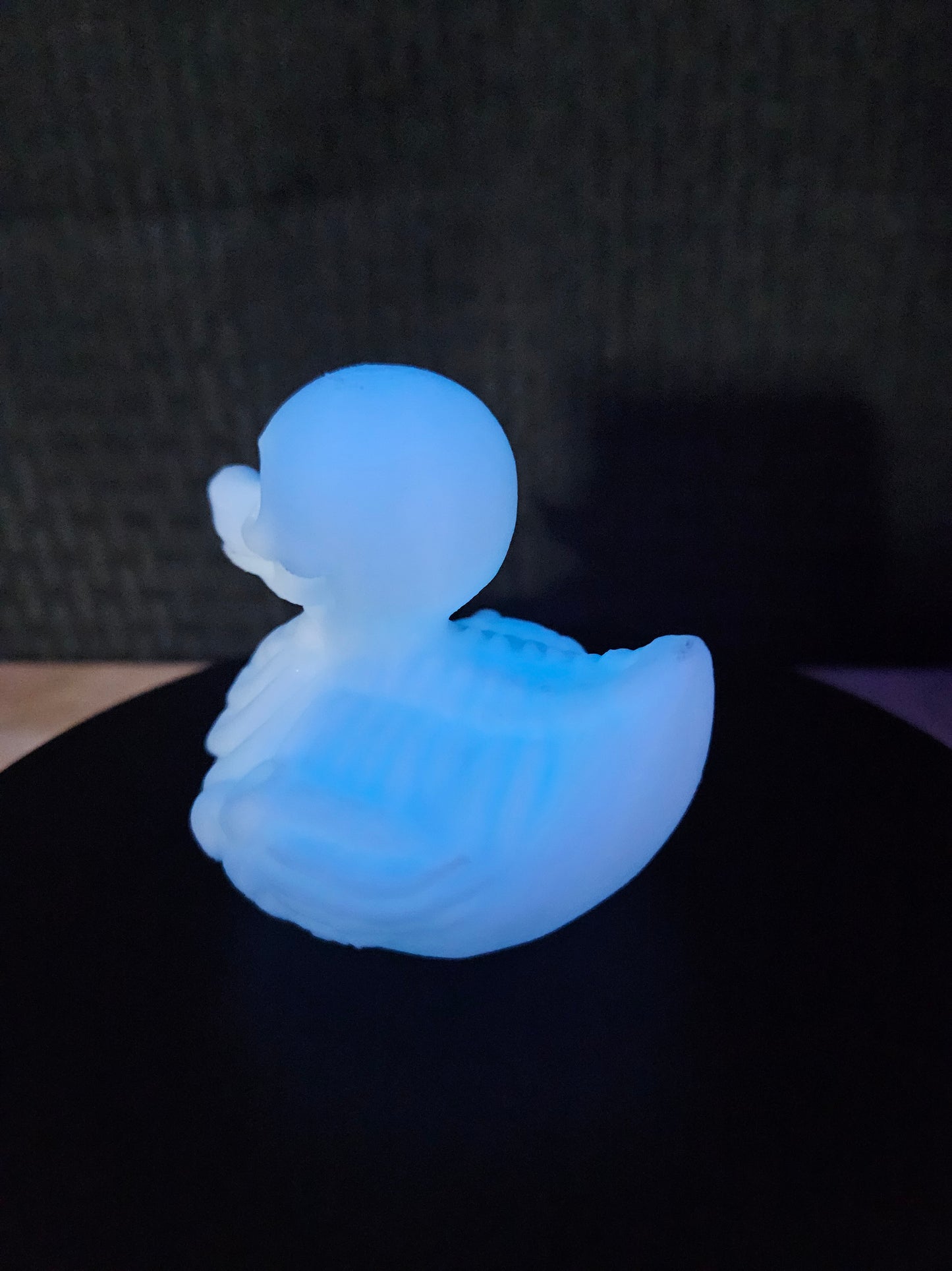 Skeleton Duck, White glows blue in the dark Sold Separately, 3D Printed