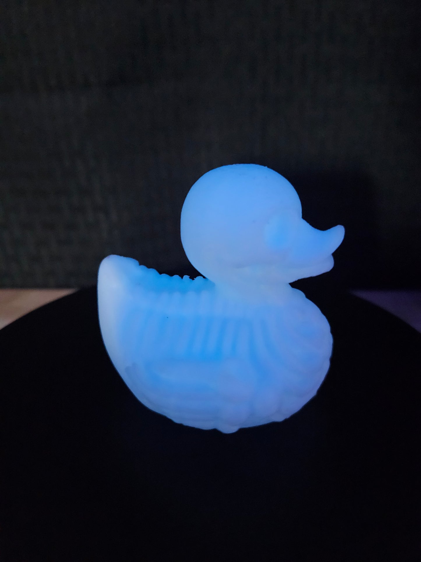Skeleton Duck, White glows blue in the dark Sold Separately, 3D Printed