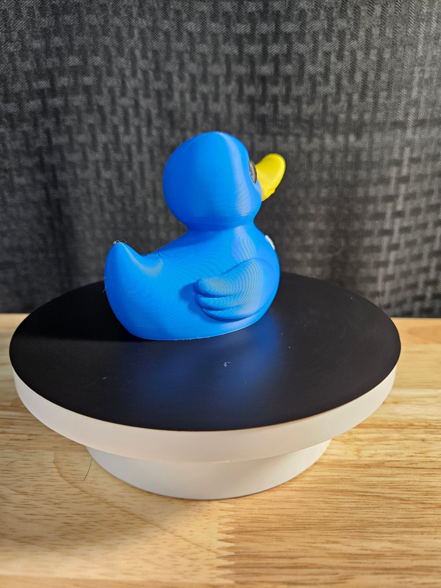 Navy Duck, Ducking, DuckDuckJeep