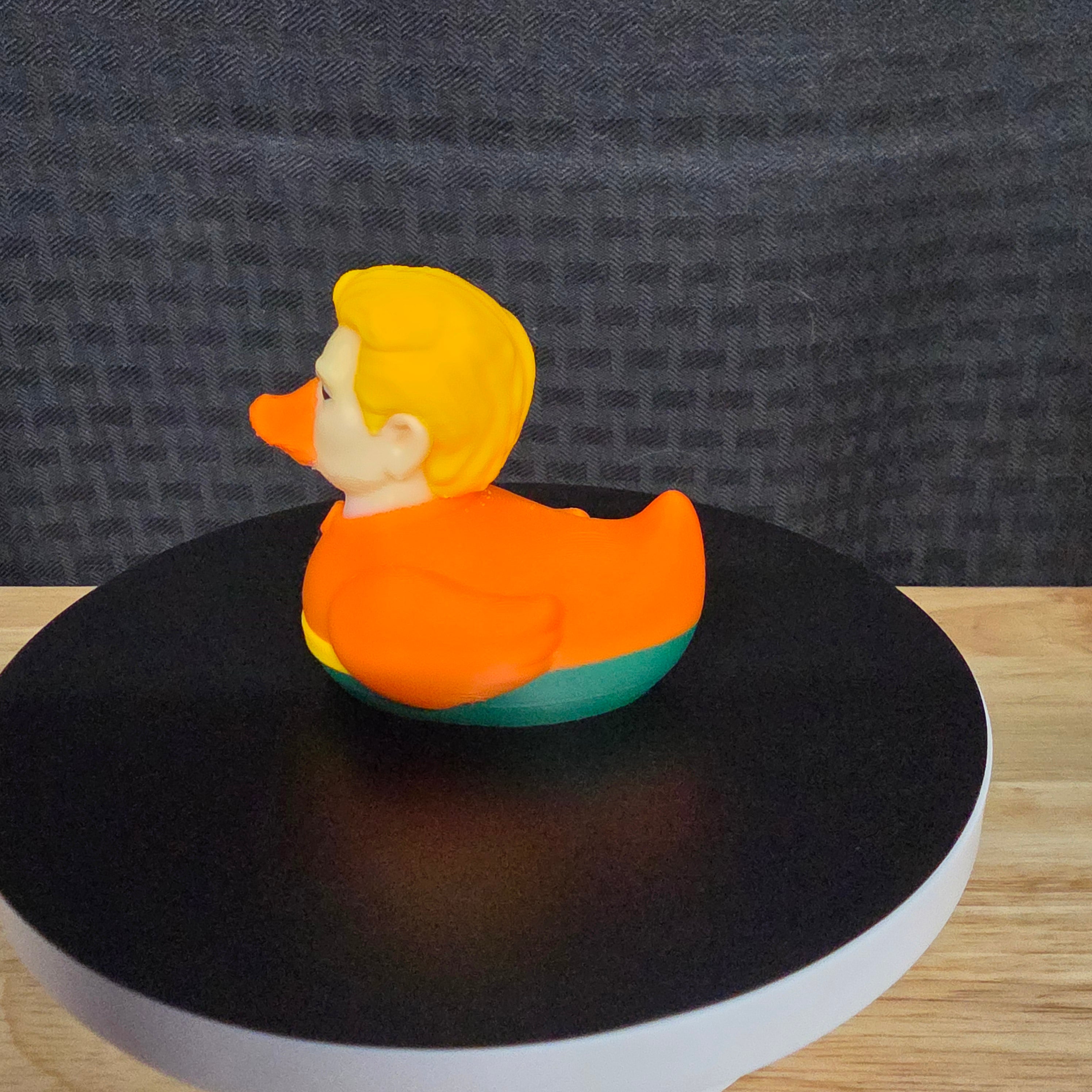 Aquaman Duck, Duck, Ducks, Ducking, DuckDuckJeep