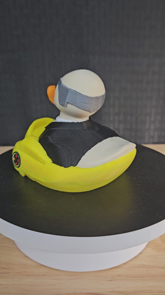 Professor Duck